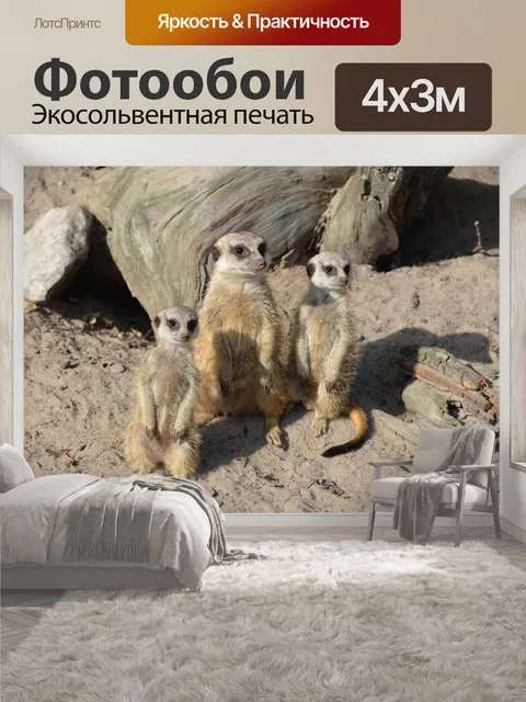400 × 300 см · Экосольвентная печать