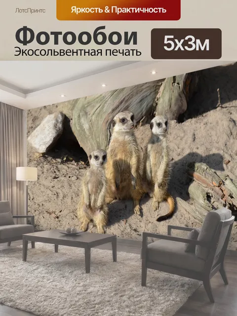 500 × 300 см · Экосольвентная печать