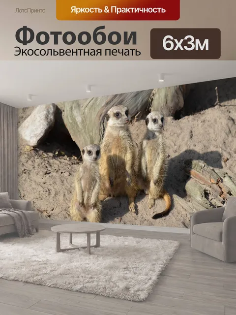 600 × 300 см · Экосольвентная печать
