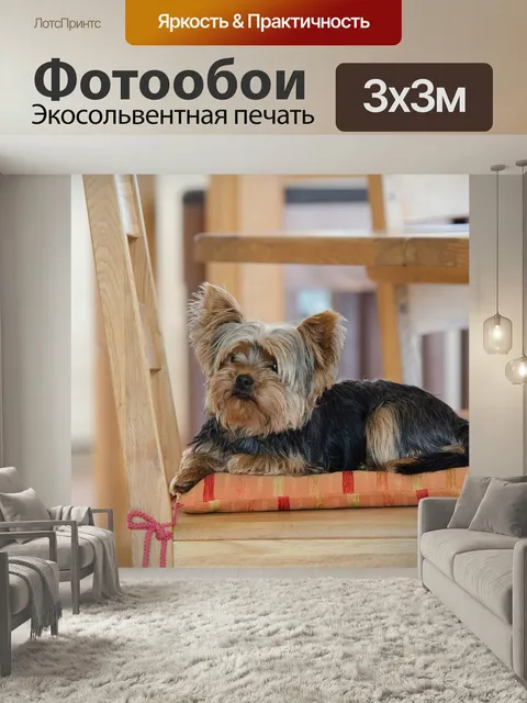 Фотообои Йоркширский терьер, в доме, милый