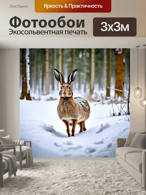 Фотообои Россия — зимой в карельских лесах, покрытых снегом, охота на зайцев и наслаждение естественной красотой