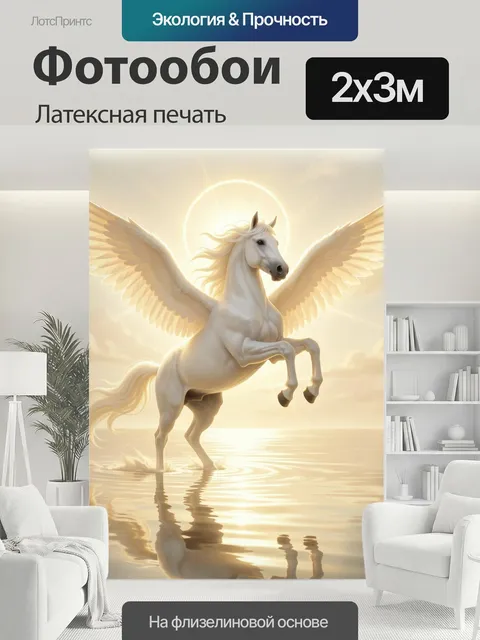 200 × 300 см · Латексная печать