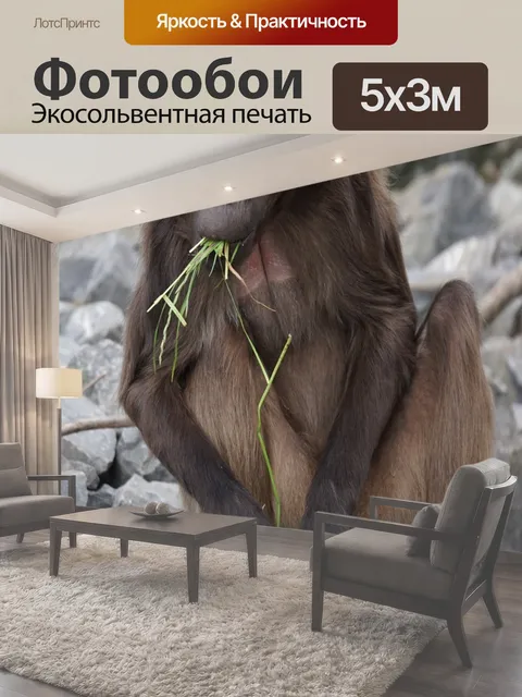 Фотообои Dschelada, обезьяна, мужчина