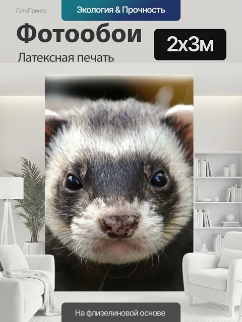 200 × 300 см · Латексная печать