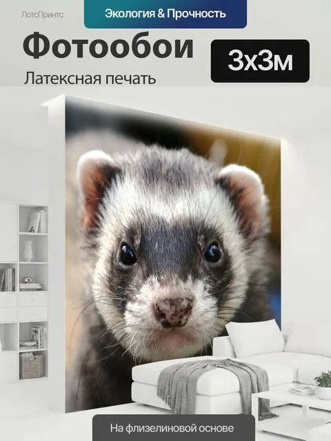 300 × 300 см · Латексная печать