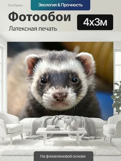 400 × 300 см · Латексная печать