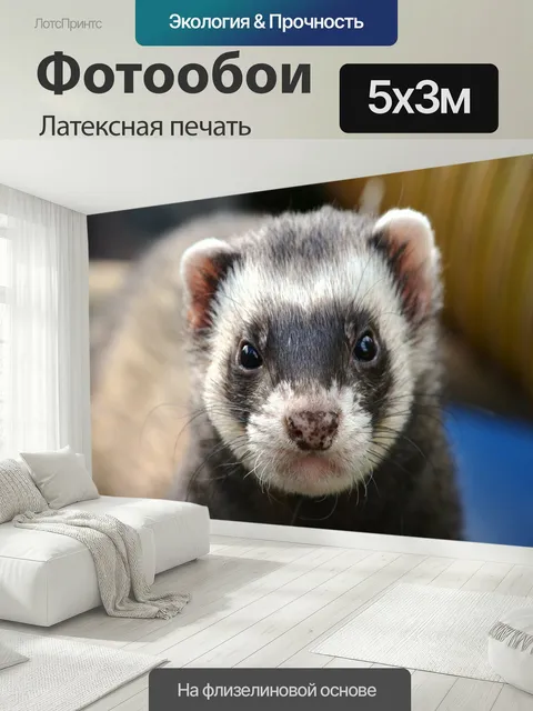 500 × 300 см · Латексная печать