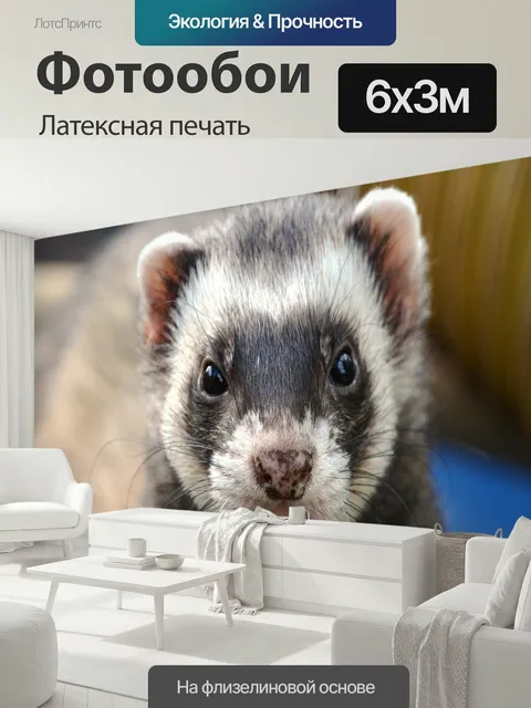 600 × 300 см · Латексная печать