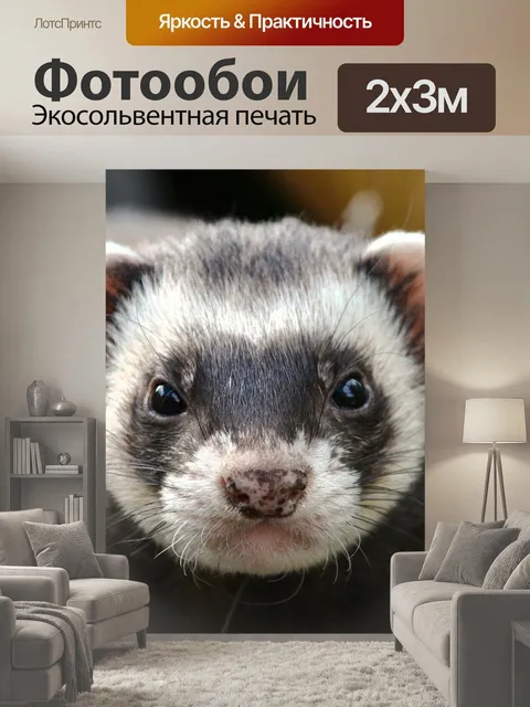 200 × 300 см · Экосольвентная печать