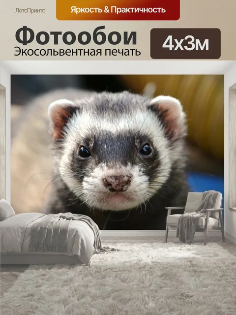 400 × 300 см · Экосольвентная печать