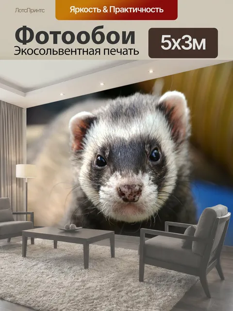 500 × 300 см · Экосольвентная печать