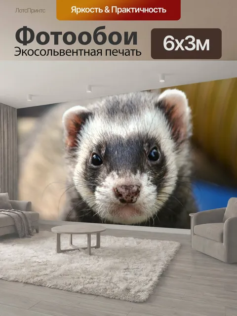 600 × 300 см · Экосольвентная печать