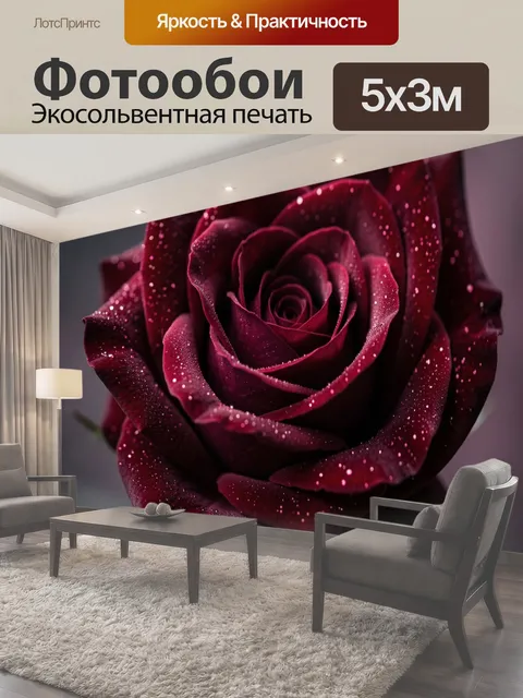 Фотообои Бордовая роза с каплями