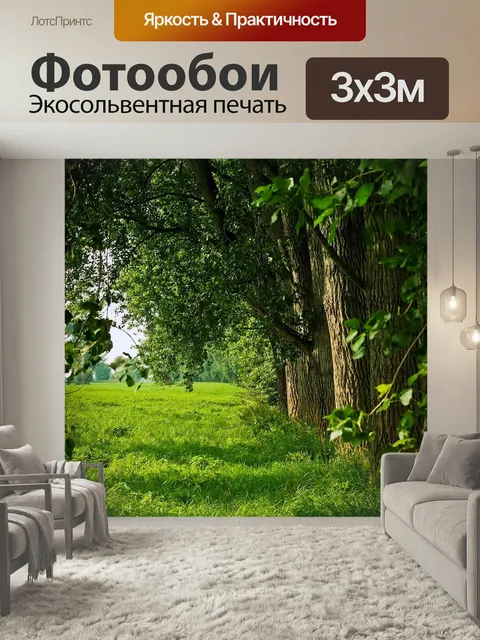 Фотообои Пейзаж, природа, лес