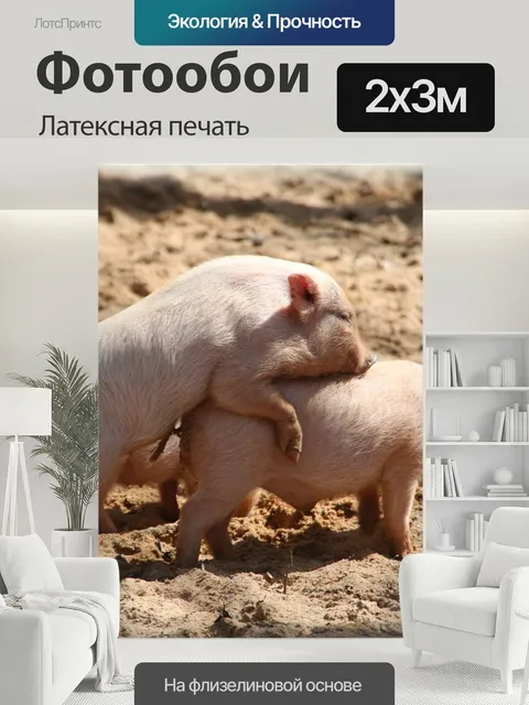 200 × 300 см · Латексная печать