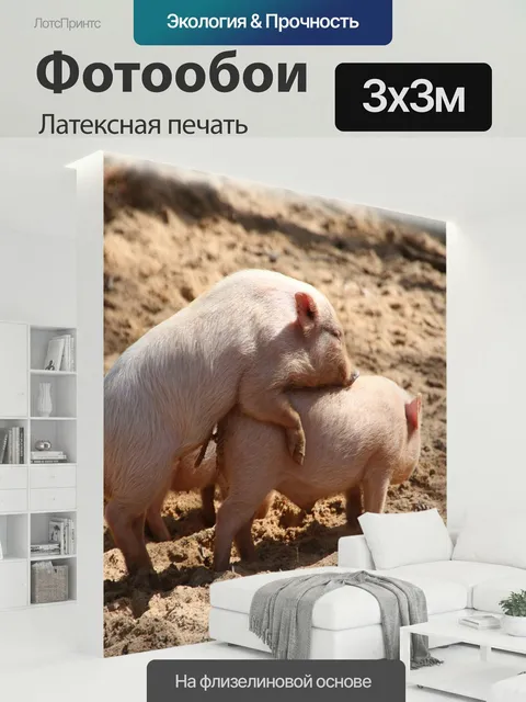 300 × 300 см · Латексная печать