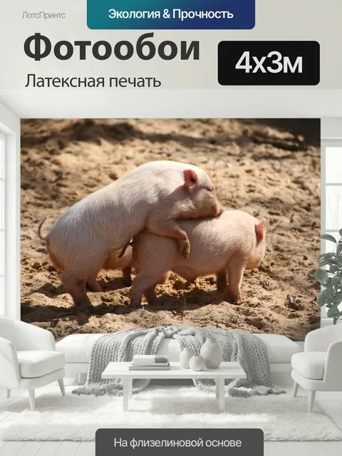 400 × 300 см · Латексная печать