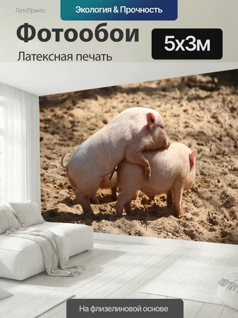 500 × 300 см · Латексная печать