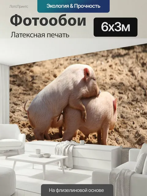 600 × 300 см · Латексная печать