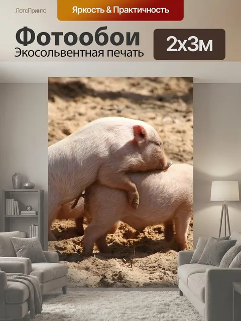 200 × 300 см · Экосольвентная печать