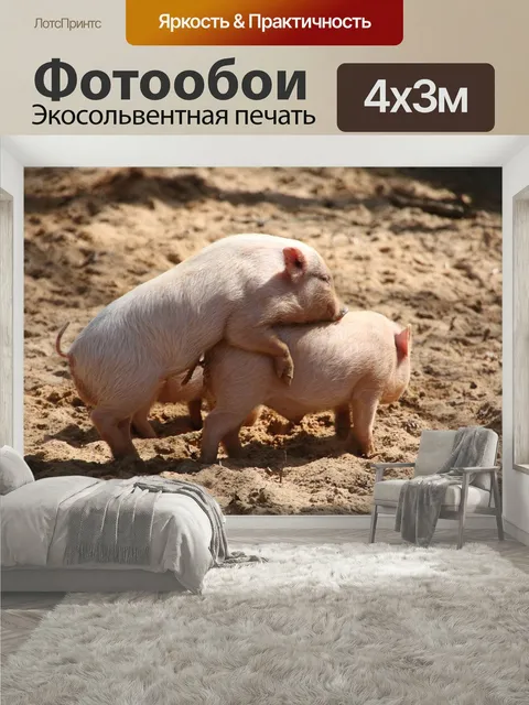 400 × 300 см · Экосольвентная печать