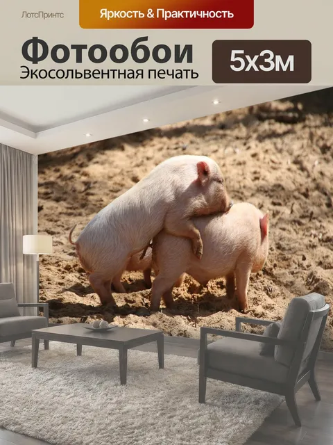 500 × 300 см · Экосольвентная печать