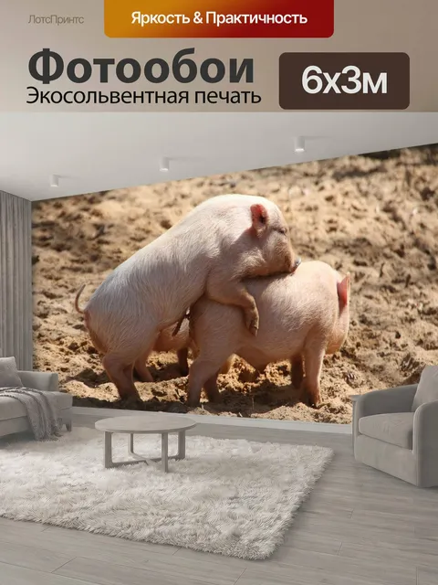 600 × 300 см · Экосольвентная печать