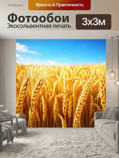 Фотообои Утро показывают живописные поля с пшеницей, которые колышутся на ветерку под ярким синим небом. в этом изобра…