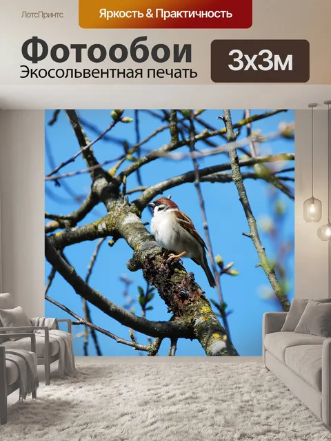 Фотообои Сперлинг, воробей, птица