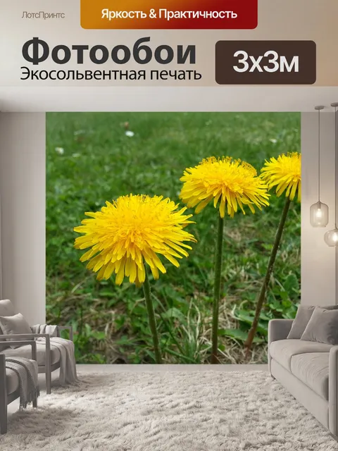 Фотообои Одуванчик, цвести, растения