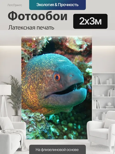 200 × 300 см · Латексная печать