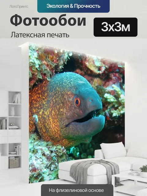 300 × 300 см · Латексная печать