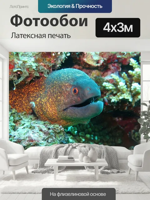 400 × 300 см · Латексная печать