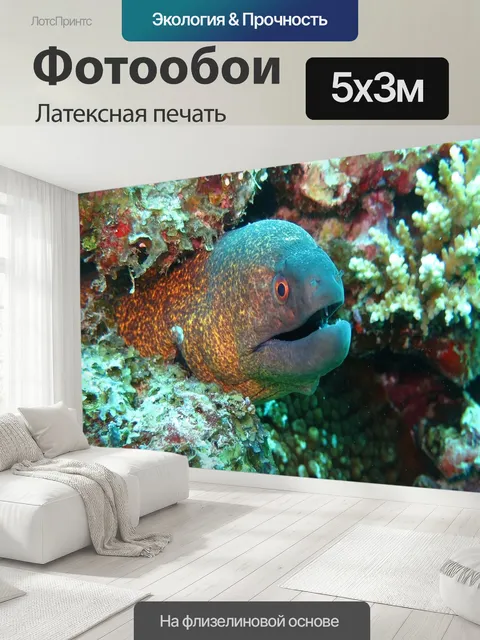 500 × 300 см · Латексная печать