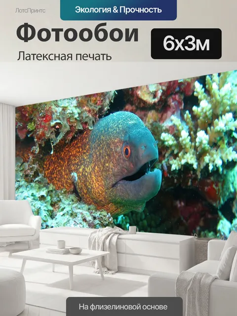 600 × 300 см · Латексная печать