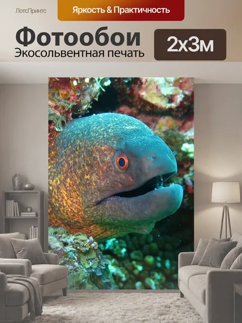 200 × 300 см · Экосольвентная печать