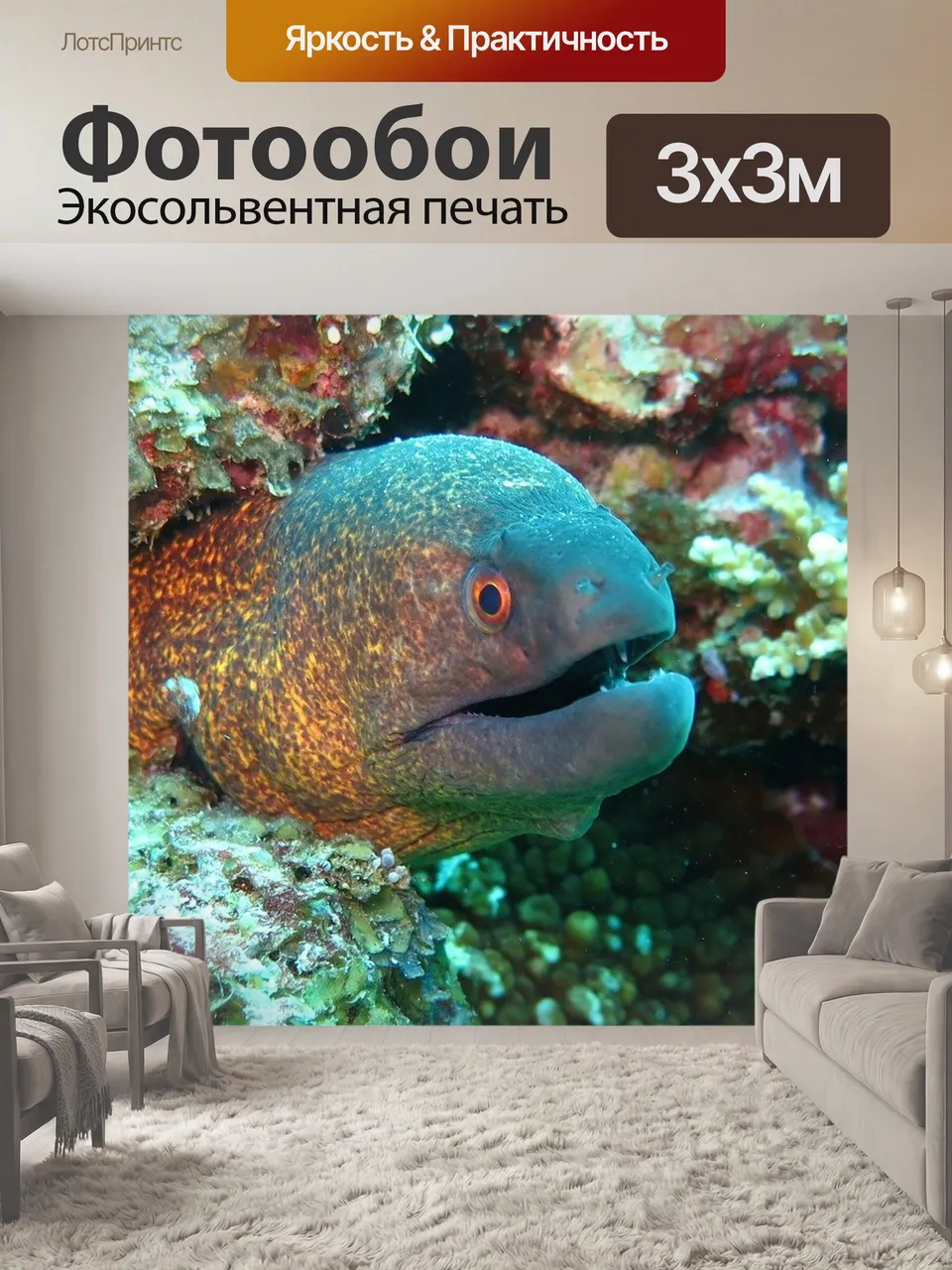Фотообои Мурена, угорь, рыбы