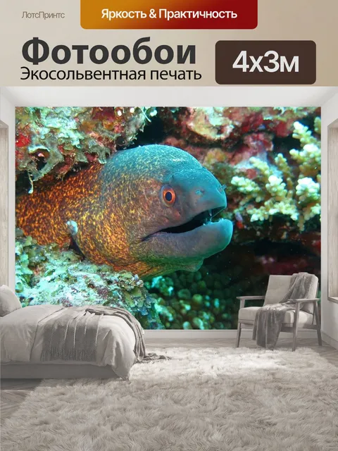 400 × 300 см · Экосольвентная печать