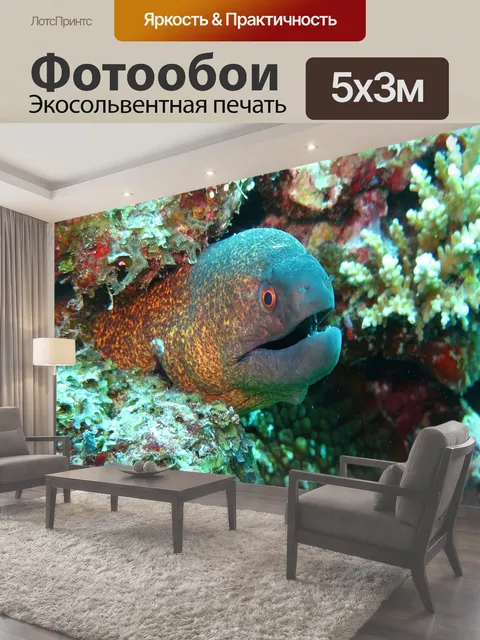500 × 300 см · Экосольвентная печать