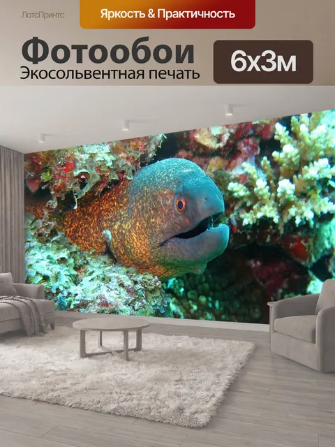 600 × 300 см · Экосольвентная печать