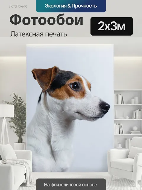 200 × 300 см · Латексная печать