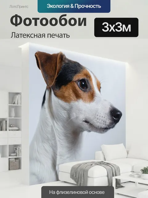 300 × 300 см · Латексная печать