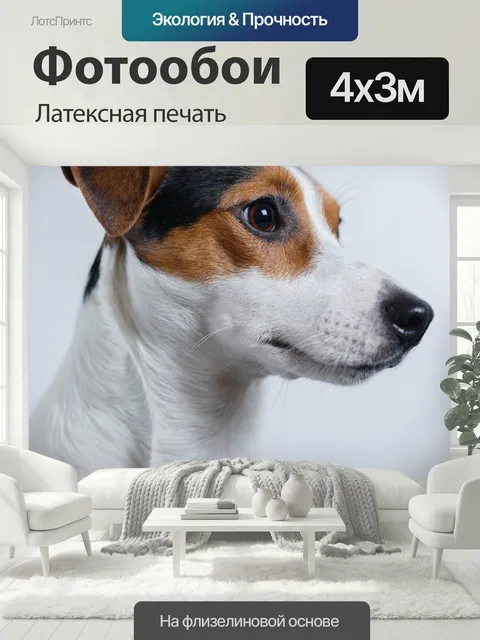 400 × 300 см · Латексная печать