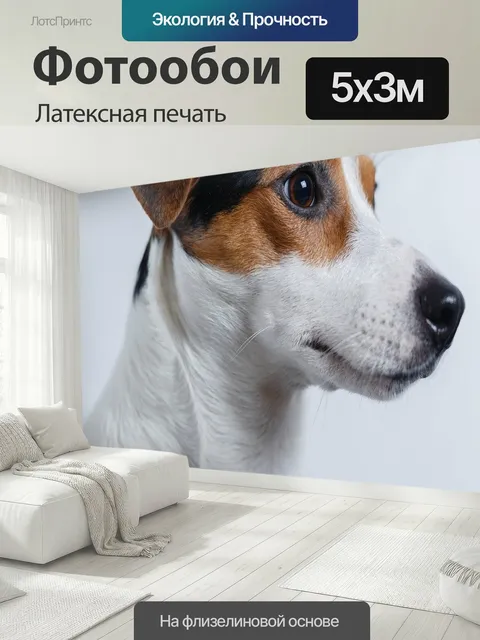 500 × 300 см · Латексная печать