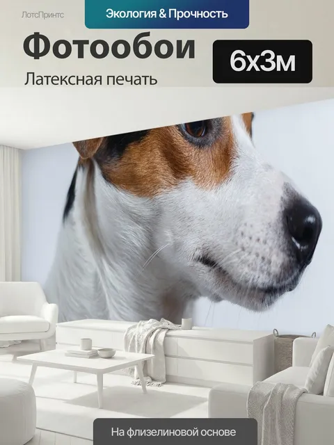 600 × 300 см · Латексная печать