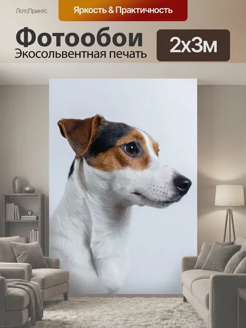 200 × 300 см · Экосольвентная печать