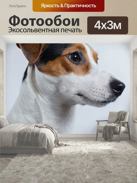 400 × 300 см · Экосольвентная печать