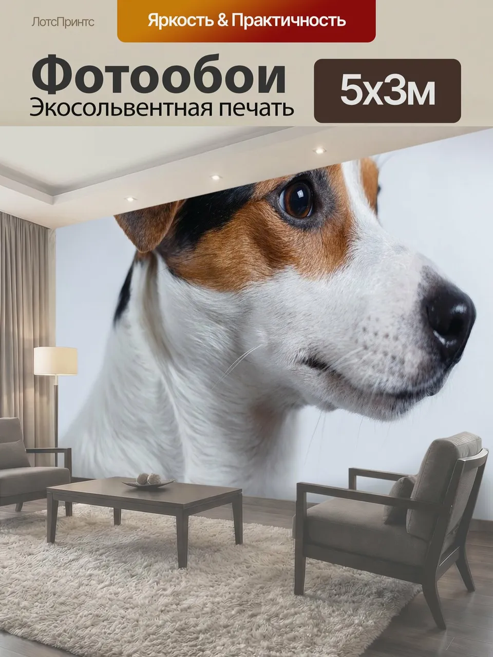 Фотообои Собака, джек-рассел, терьер