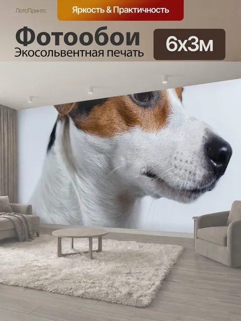 600 × 300 см · Экосольвентная печать