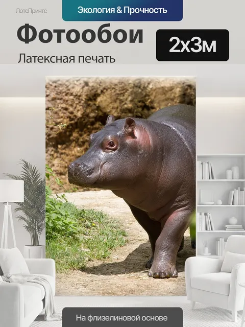 200 × 300 см · Латексная печать